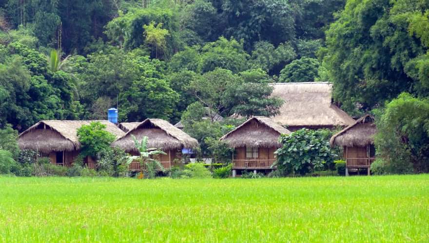 Homestay Mai Châu Farmstay