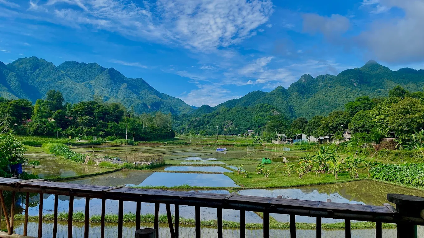 Meadow Mai Chau Homestay Meadow Mai Chau Homestay