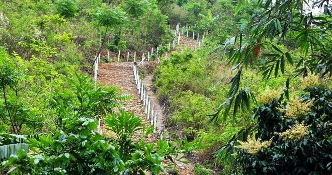 Hang Chiều, Mai Châu